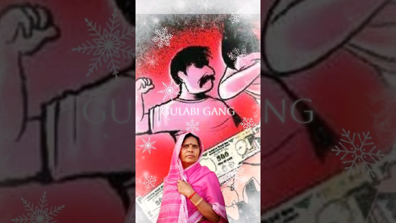 Why this womens are fighting against domestic violence,women rights|| Gulabi Gang|| 