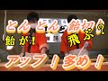 「とん とん」飴切り　手元のUPが多め