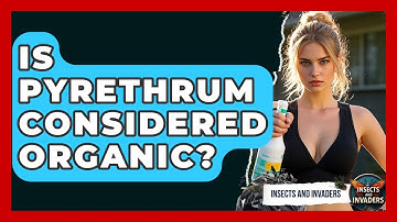 Is Pyrethrum Considered Organic? - Insects and Invaders