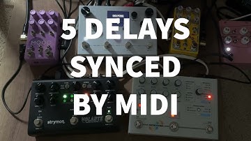 Mastering the Art of Syncing 5 Delay Pedals with MIDI Clock #demo #stereo #sync #delay