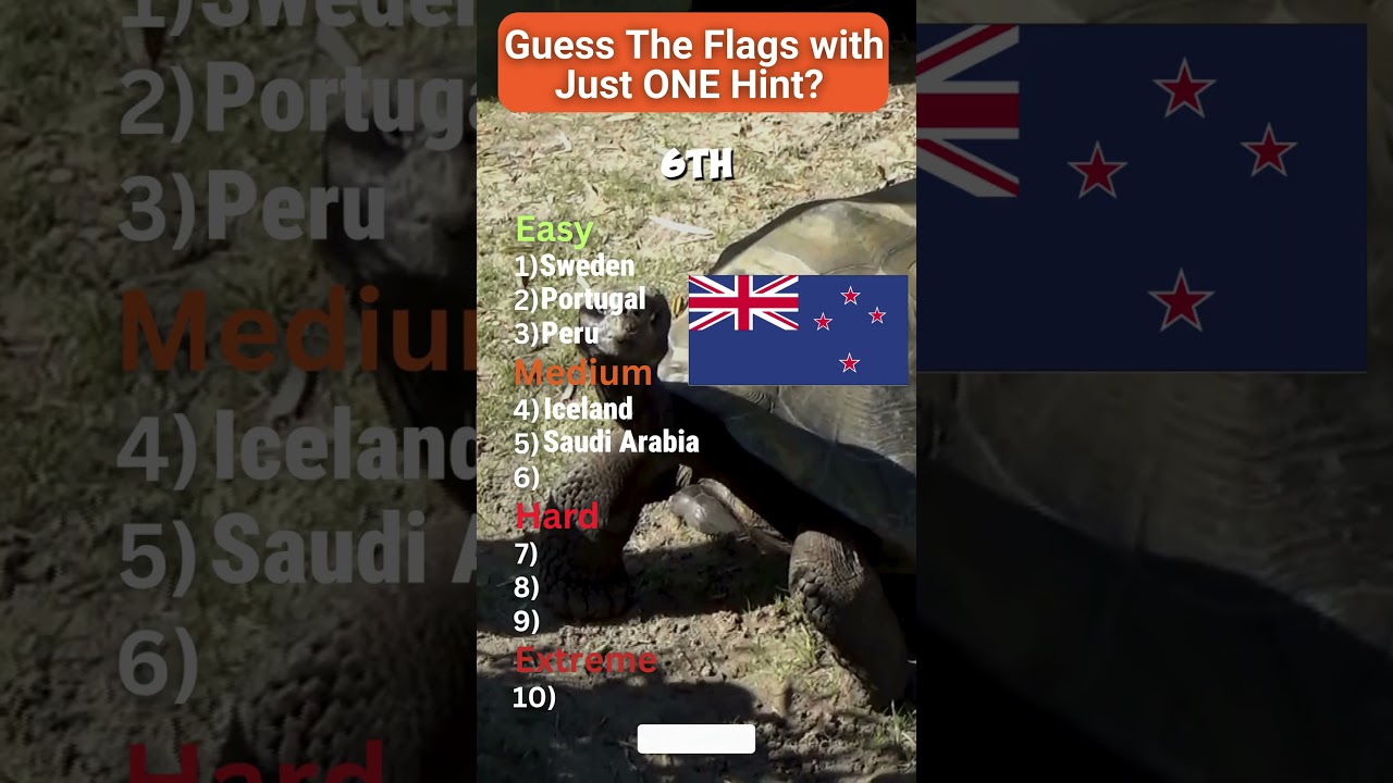 🏆 The ULTIMATE Flag Challenge – Can You Get a Perfect Score? 🌍