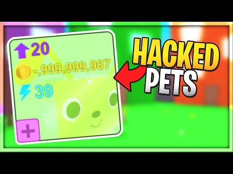 Using Hacked Pets Pet Simulator Youtube - roblox pet simulator hacks