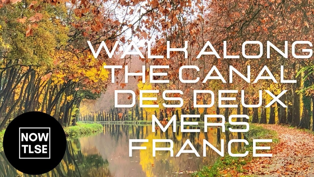 10km Walk Along the Canal des Deux Mers from Dieupentale to Grisolles