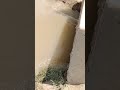 بہرام کا گاؤں سلاب کی ضد میں پانی تصیل منچن اباد کی طرف بڑھتے ہوئے