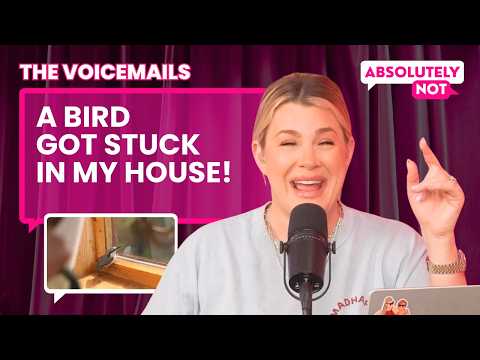 A Bird Got Stuck in My House and It Was CHAOS