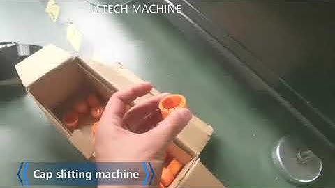 Cap slitting machine