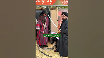 سيد حبيب الصافي 