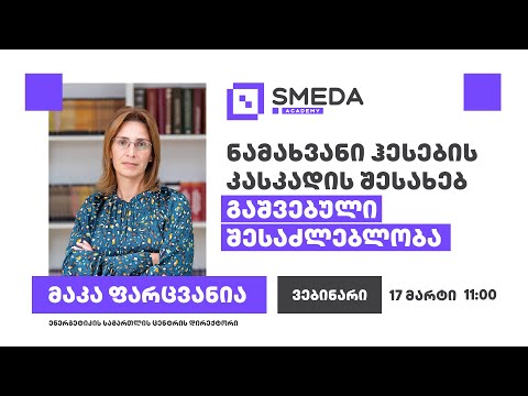 SMEDA - ნამახვანი ჰესების კასკადის შესახებ - გაშვებული შესაძლებლობა