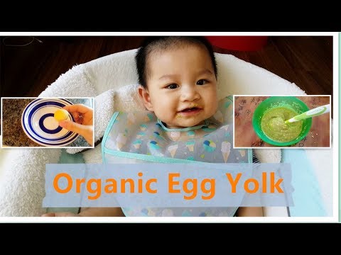 organic-egg-yolk-baby-food-recipe