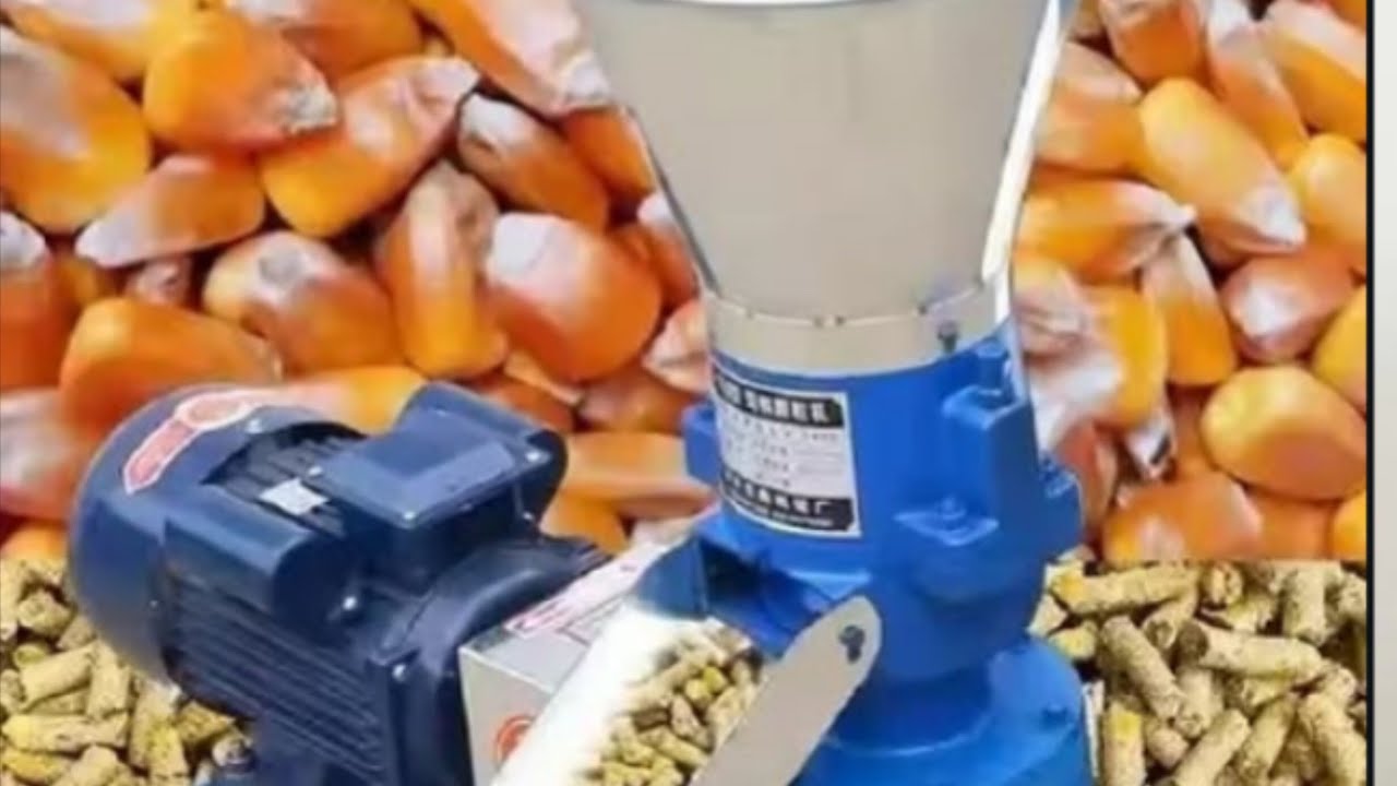 uko wakwikorera ibiryo byinkoko kugiciro gito murugo iwawe ukunguka kurusha kugura ibyinganda