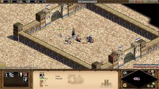 AoEII HD: 5vs8 The Heroes battle