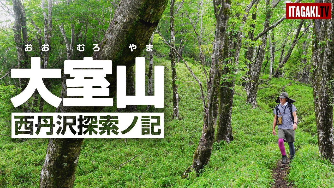 匂い立つ稜線「大室山／加入道山」1,587m [西丹沢探索ノ記]