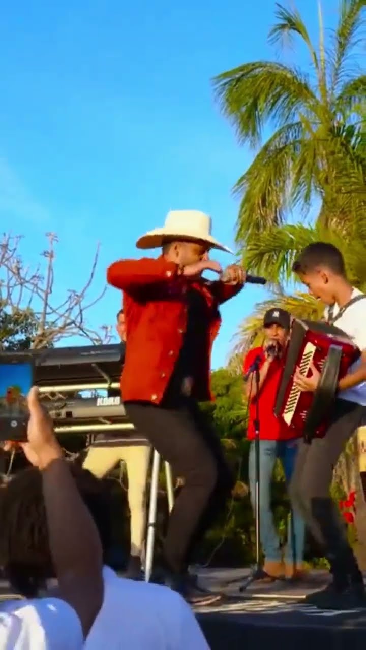 A música do leãozinho do forró estourou em todo Brasil forró do meu Goiás #leaozinho #boanoiteee