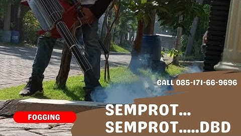Kegiatan Penyemprotan Fogging Nyamuk di Sidoarjo Fogging Pasuruan Fogging Mojokerto Fogging Gresik