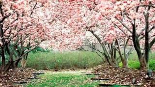 E' primavera svegliatevi bambine