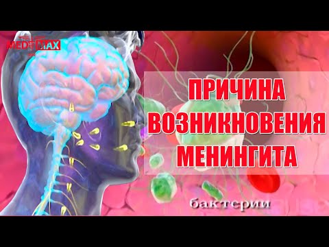 Видео: менингит