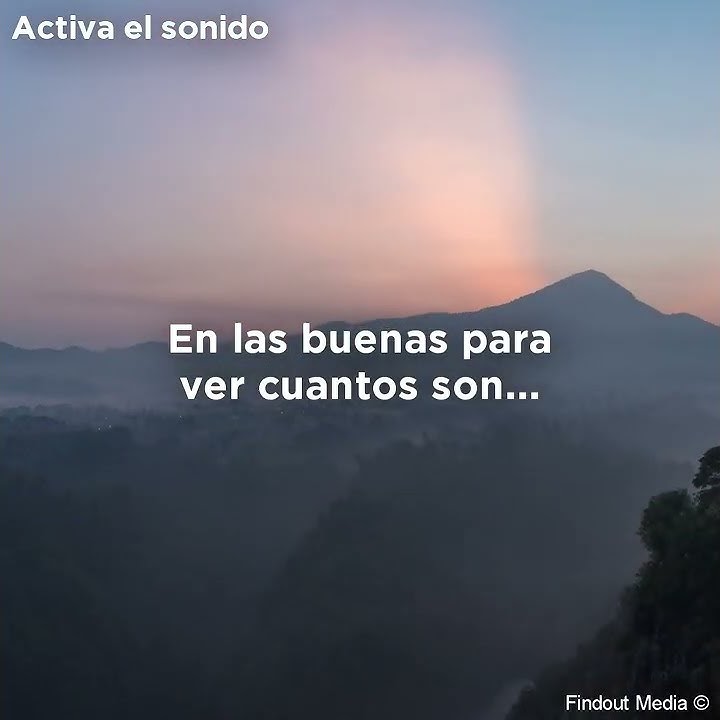 Los verdaderos amigos...