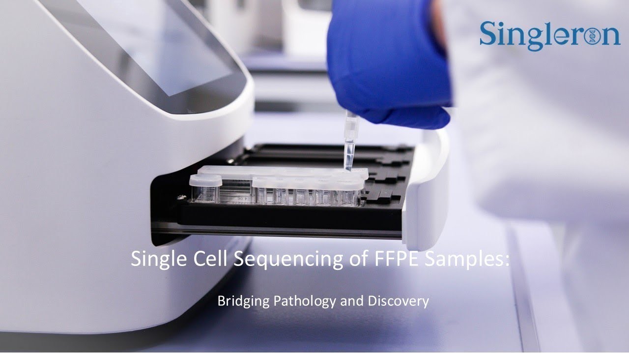 FFPE Single Cell Sequencing Solution: Bridging Pathology and Discovery