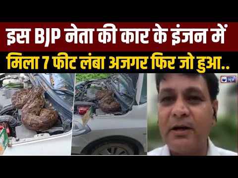 BJP Leader Snake News : बाराबंकी में कार का बोनट खोलते ही निकला 7 फुट लंबा अजगर | India News