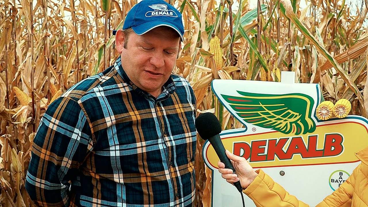 Bayer Dekalb Podsumowanie sezonu 2021 
