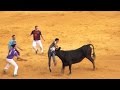 Increible, La vaca lo pilla 4 veces - Nmv TV