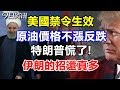美國禁令生效，原油價格不漲反跌！特朗普慌了，伊朗的招還真多！
