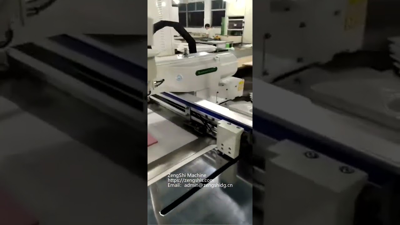 Computer Pattern Sewing Machine : For leather