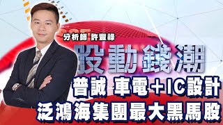 普誠 車電＋IC設計 泛鴻海集團最大黑馬股《股動錢潮》許豐祿  20220615