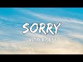 Justin Bieber Sorry Lyrics