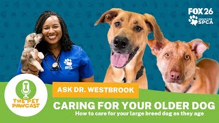 The Pet Pawcast - Adopting/Caring for a Large Breed Senior Dog