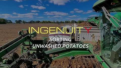 From Field to Storage: How The Ingenuity Sorting Machine Handles Potatoes | RAYTEC VISION SpA