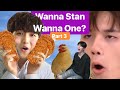 could wannaone possibly get any weirder?