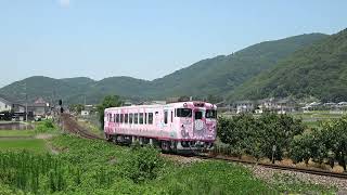 JR西日本の新しい観光列車　saku美saku楽　走行動画