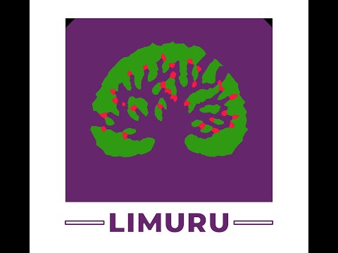 MIDNIGHT PRAYER HOUR || 06.02.2025 |LIFE CHURCH LIMURU