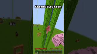 Minecraft Cactus Elevator!