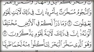 14.Cüz Hizli Hati̇m Mukabele Çok Kolay Okunuşlu Kolay Taki̇p Edi̇lebi̇li̇r Çok Güzel Sesli̇ Kuran-I Keri̇m