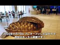 【北海道 観光スポット】ロイズカカオ＆チョコレートタウン『ロイズタウン』工場見学が楽しすぎた！