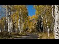Alpine Loop Drive in the Fall