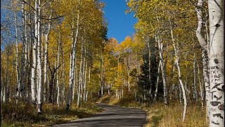 Alpine Loop Drive in the Fall