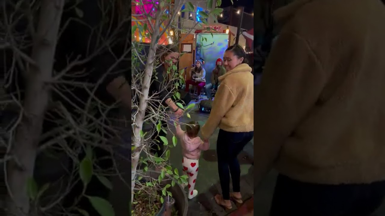 Winter Grain at the Venice Beach Music Box Microstage Sweet Dreams cover