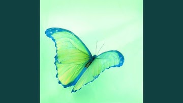 Distinguished Backdrops for Fresh Vibes