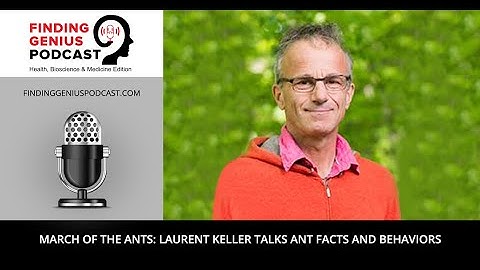 March of the Ants: Laurent Keller Talks Ant Facts and Behaviors