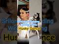 Sri Lankan Wedding Song-க்கு Husky Dance 🐕🔥 | Eppadi Suham Amu