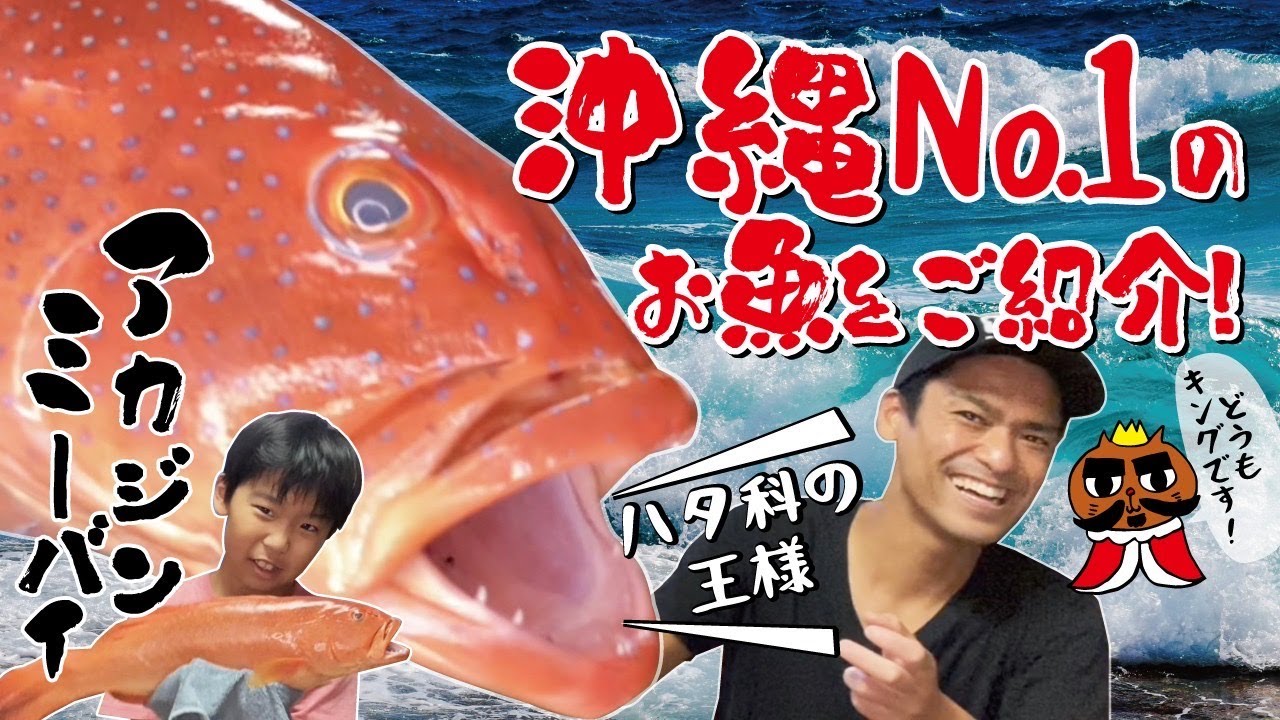 アカジン（魚、通称ミーバイ）タペストリー アカジン（魚、通称ミーバイ）タペストリー （食材 スジアラ）