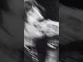 Bring Me The Horizon - biT Of a bLuR #shorts