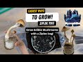 Easiest way to grow edible mushrooms ziploc bag teks pros and cons and a few methods