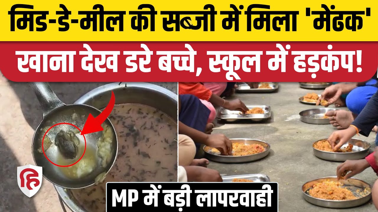 MP Gwalior Govt School Midday Meal में निकला Frog, Viral Video पर बवाल | Congress | CM Mohan