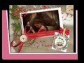 Happy Birthday Roka Elmasry عيد ميلاد روكا واحة الأصدقاء Happy Birthday Roka Elmasry عيد ميلاد روكا واحة الأصدقاء