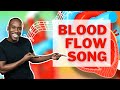 The Journey of Blood Through the Heart and Lungs