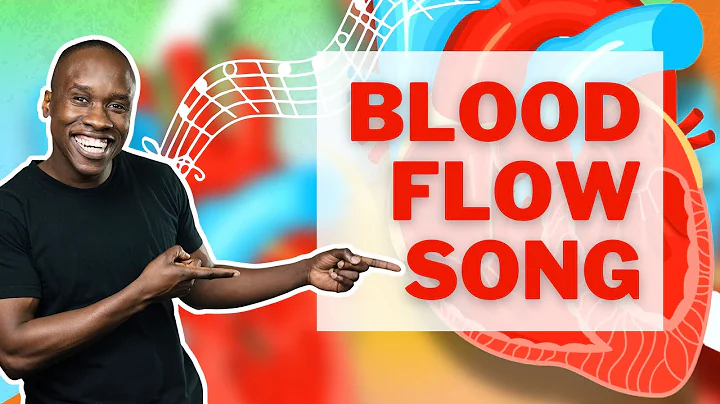 Blood Flow Song | How Blood Flows Through the Heart - DayDayNews